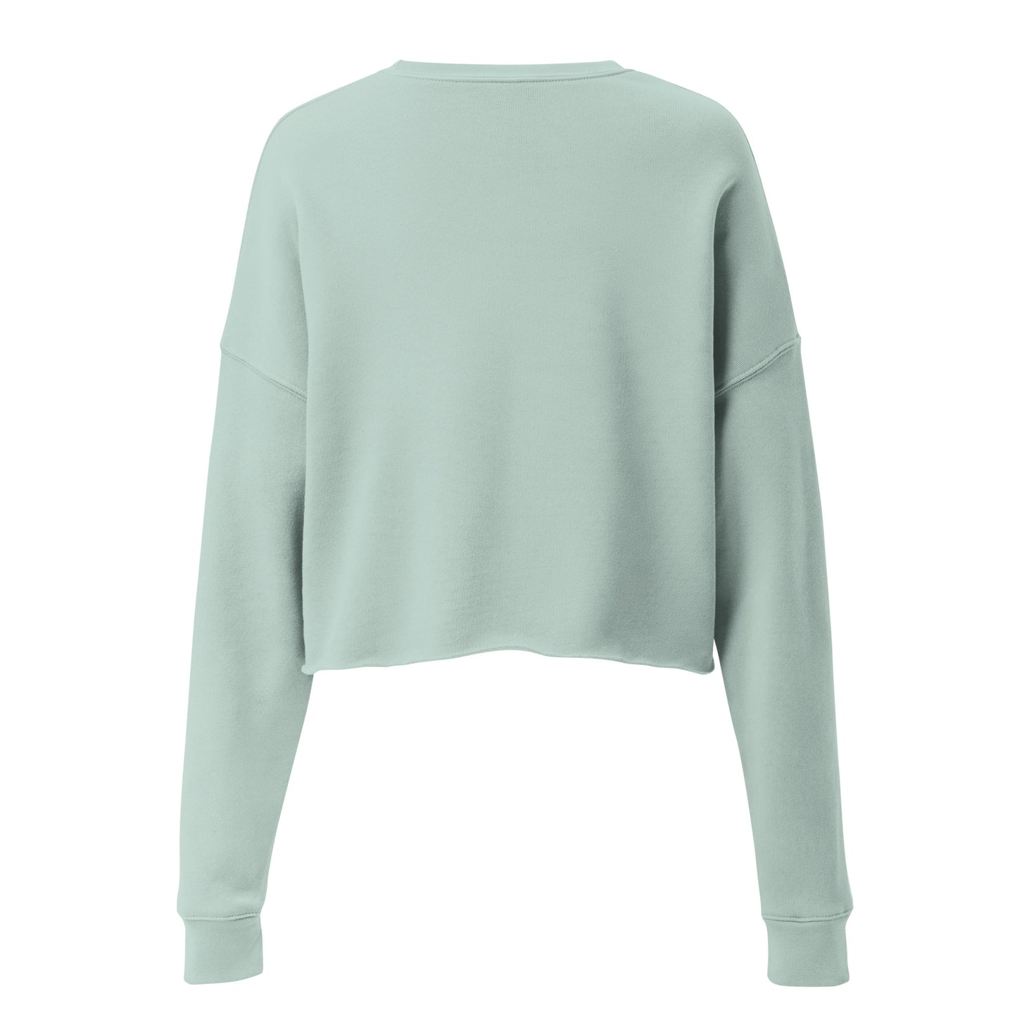 Crop top sweatshirt, ATHLETIC - BURN Athletic